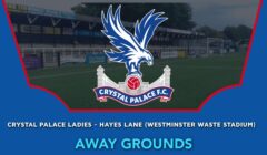 Crystal Palace Ladies – Hayes Lane (Westminster Waste Stadium)
